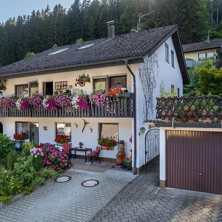 Ferienwohnung Schwarzwaelder Hornberg Esterno foto