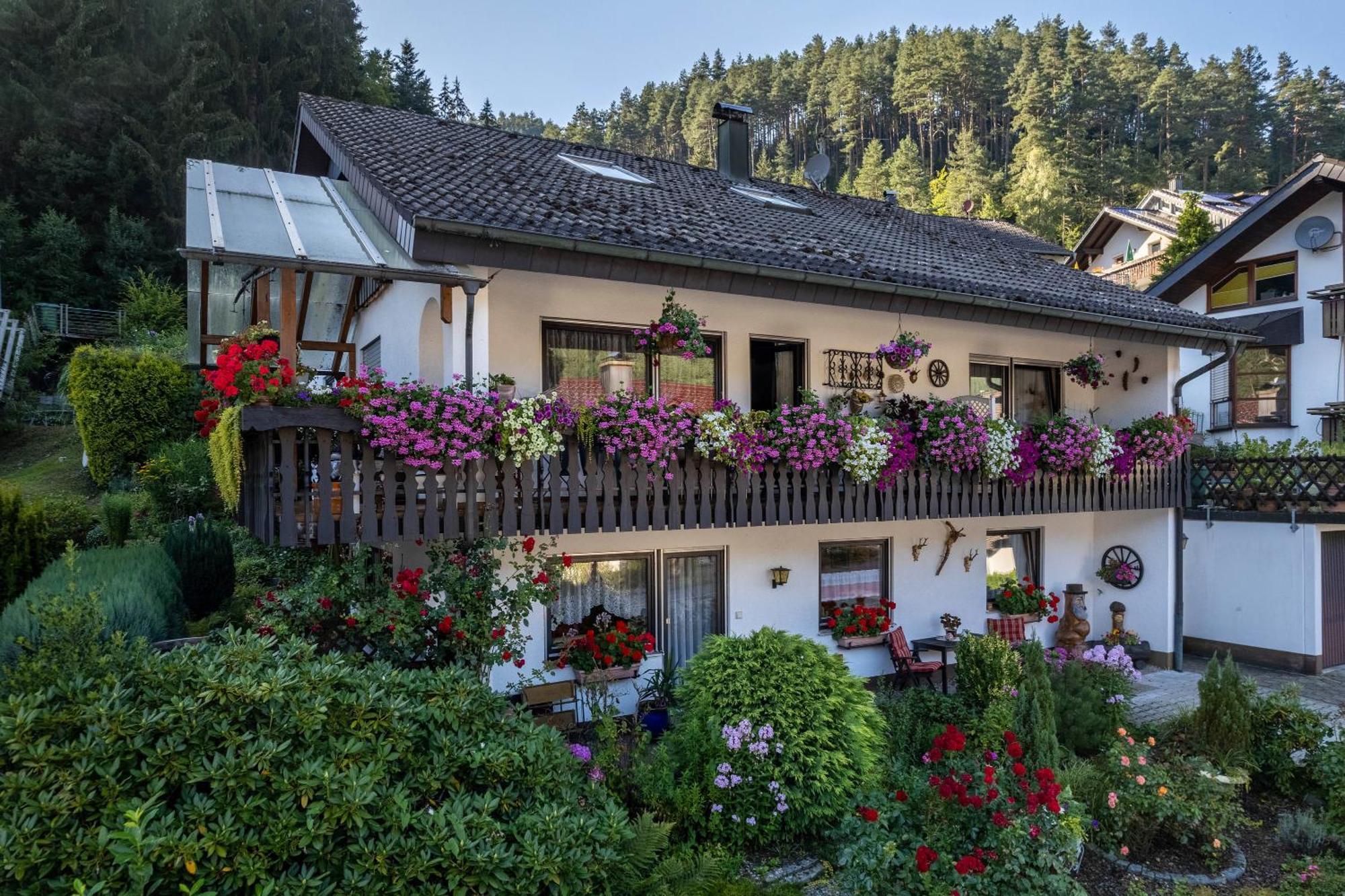 Apartment Schwarzwaelder *